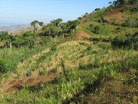jardin et agroforesterie