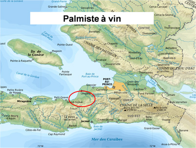 Carte - Palmiste à vin