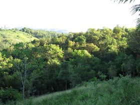 Rivi&egrave;re froide - Bois djoute