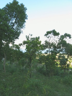 Rivi&egrave;re froide - Corrossol
